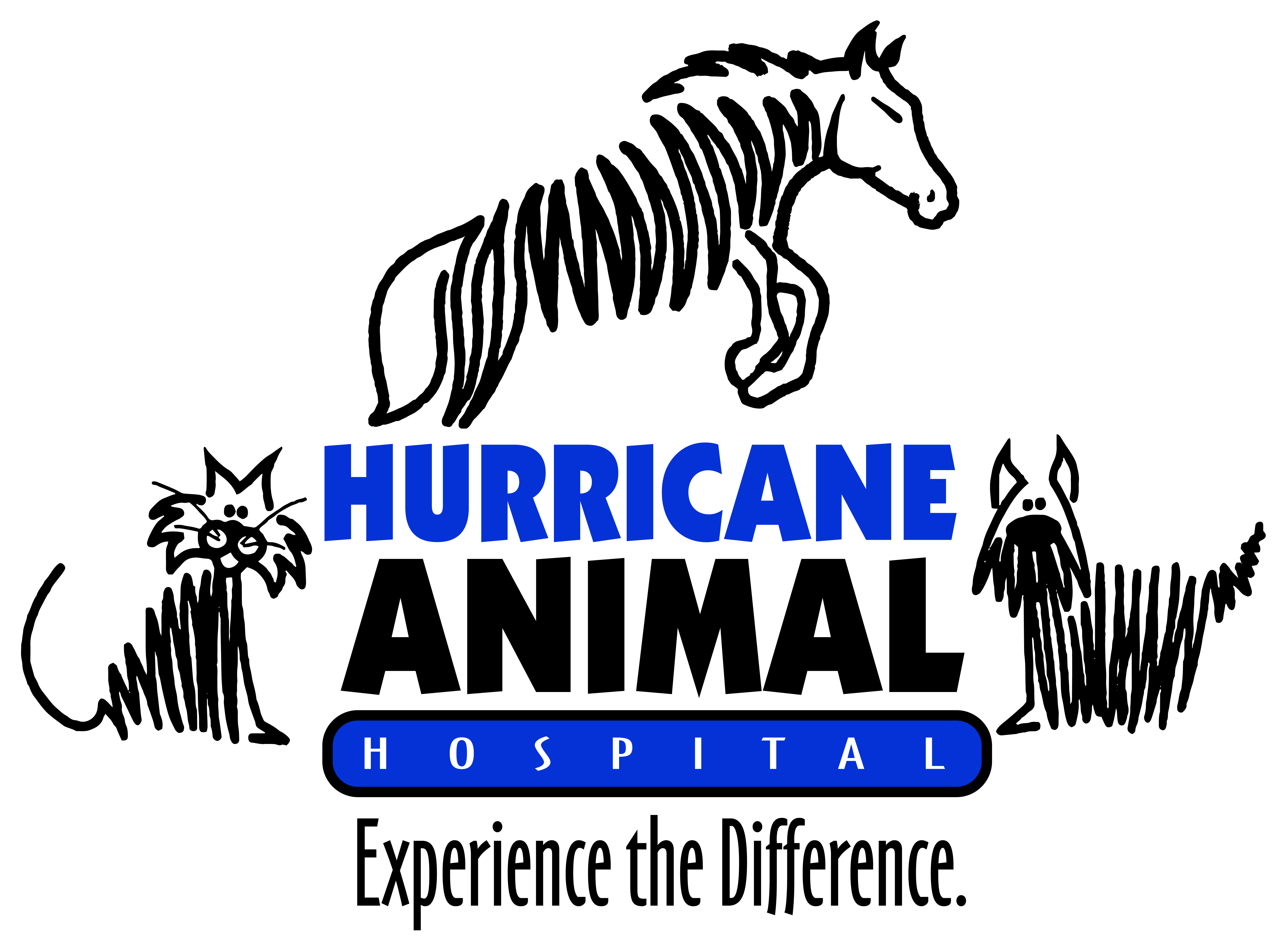 Hurricane Animal Hospital